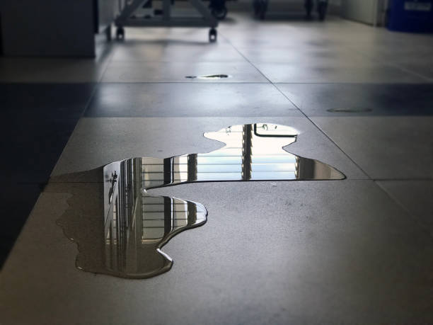 Best 24-hour water damage restoration  in Fowler, CA