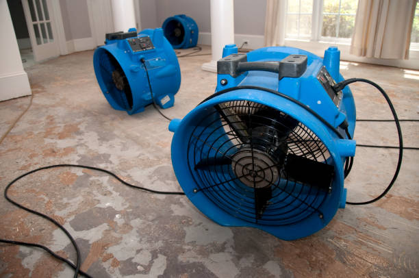 Best Mold removal after water damage  in Fowler, CA