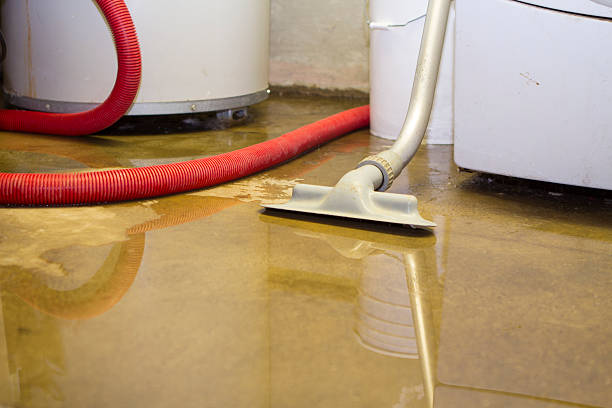 Water damage restoration experts in Fowler, CA