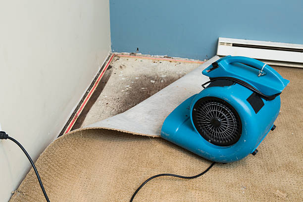 Best Flood damage cleanup  in Fowler, CA